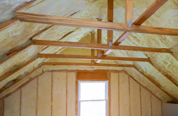 Best Insulation Maintenance and Repair in Trenton, NJ
