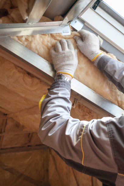Best DIY Insulation Kits and Guidance in Trenton, NJ