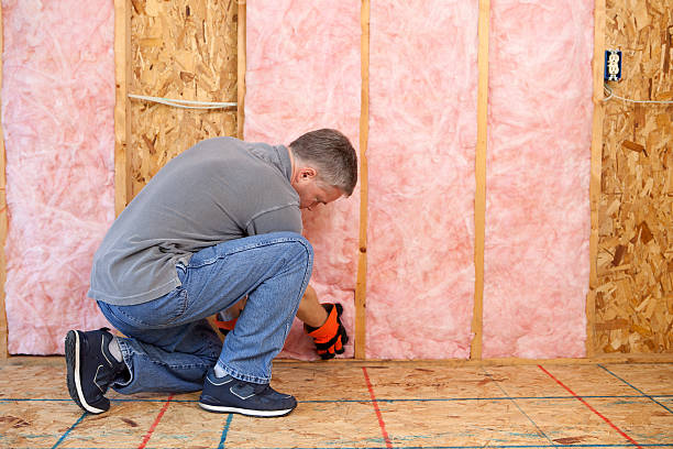 Best Geographic-Specific Insulation Services in Trenton, NJ