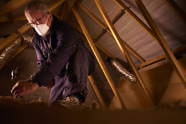 Trusted Trenton, NJ Insulation Contractor Experts