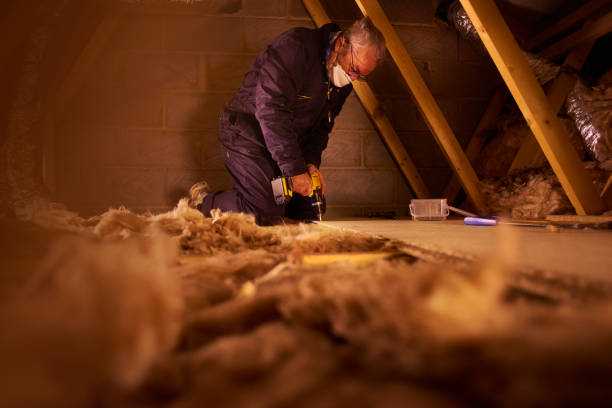 Best Geographic-Specific Insulation Services in Trenton, NJ